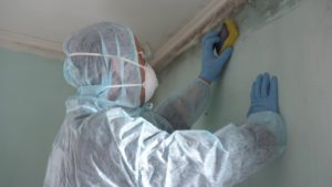 Quali sono i rimedi contro la muffa in casa